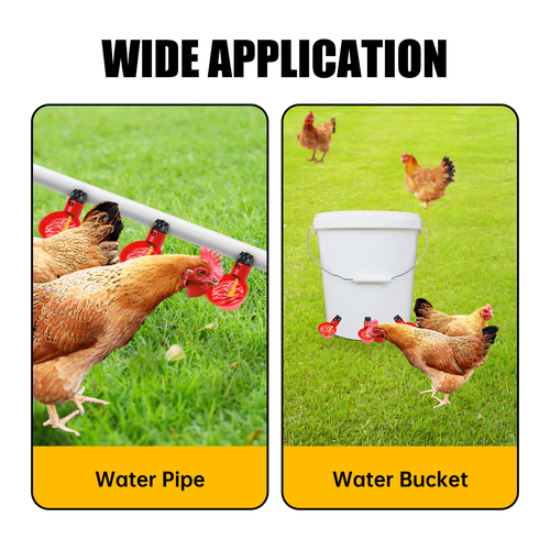 10PC Poultry Water Drinking Cups Automatic Drinker Chicken Hen Duck Quail Feeder