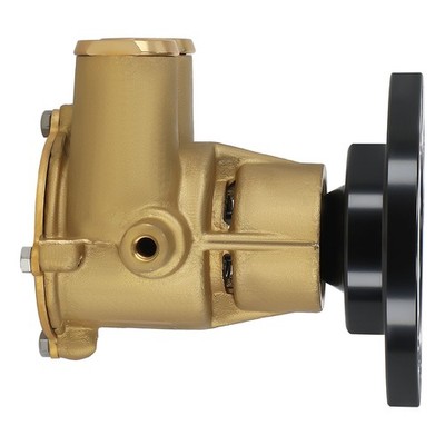 Boat Cooling System for Johnson F6B-9 3860703 685001 10-24232-1 Brass