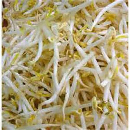 Peyton's protein mix seeds for sprouting microgreens "Cool Beans N Sprouts".