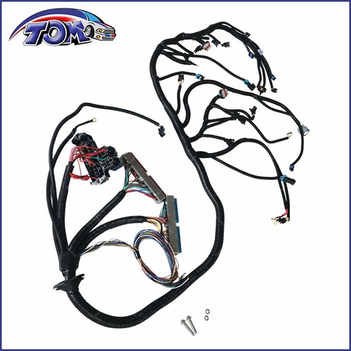 97-06 Standalone Wiring Harness 60A Relay for LS SWAPS DBC LS1 4L60E 4.8 5.3 6.0