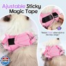 Dooradar Cat Harness and Leash Set, Escape Proof Lightweight Kitten Harness, Soft Breathable Reflective Vest for Outdoor Walking Traveling, Adjustable for Large Cats, Purple and Pink, L