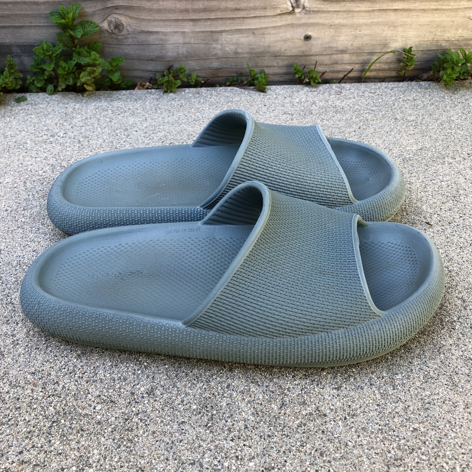 【SHISEI】PADDED SANDALS 楽天市場】shisei（サンダル｜レディース靴）：靴の通販