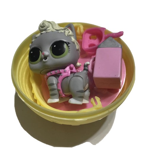 baby cat lol surprise