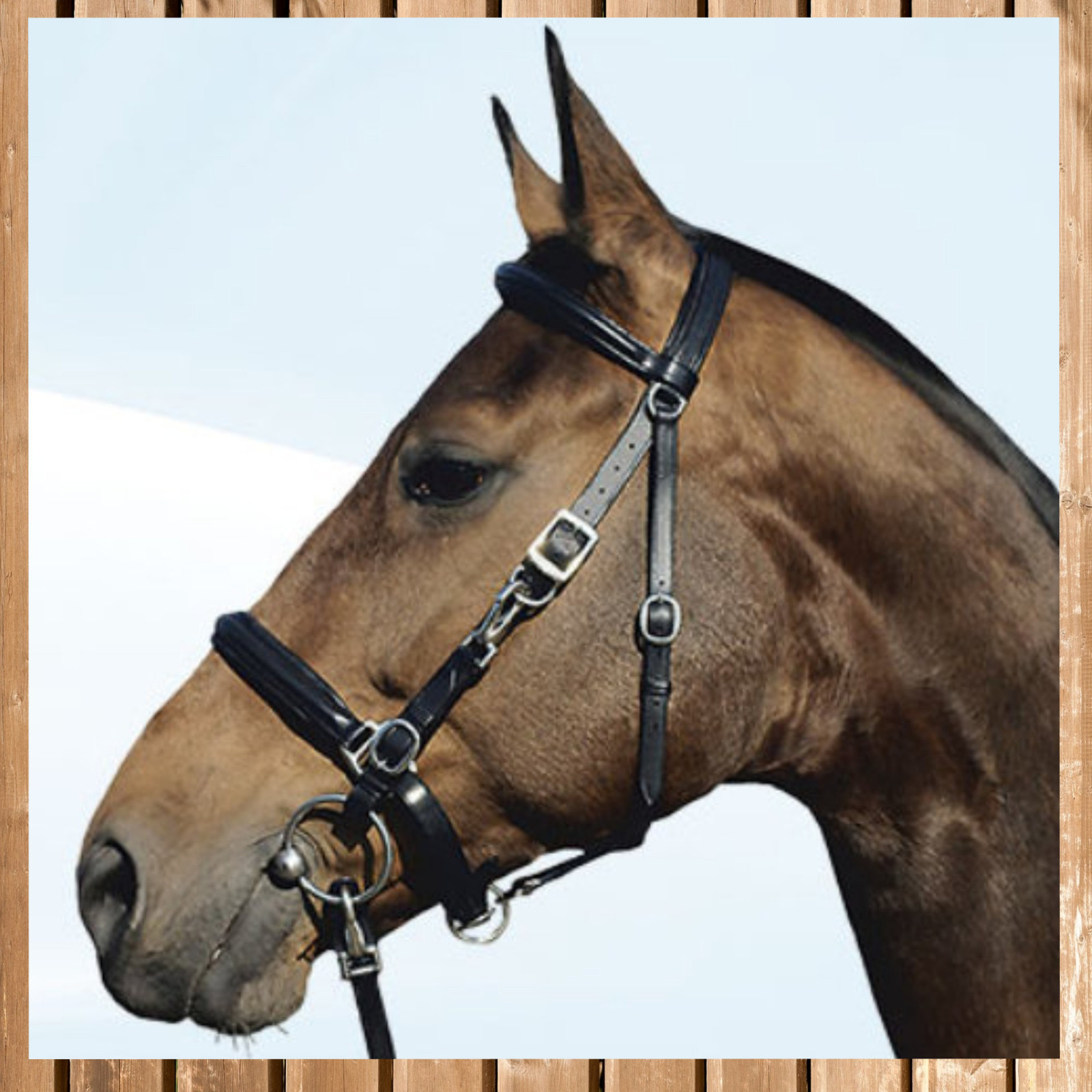 BUSSE Trense FEELING – Anatomisches Reithalfter Aus Leder Mit Strass, LPO-konform