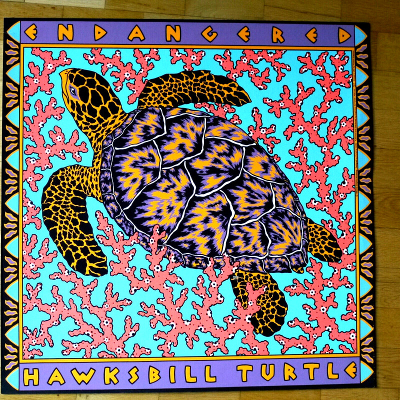 Endangered Hawksbill Turtle  ( C.Kidder ), Kunstdruck 63 X 63 Cm