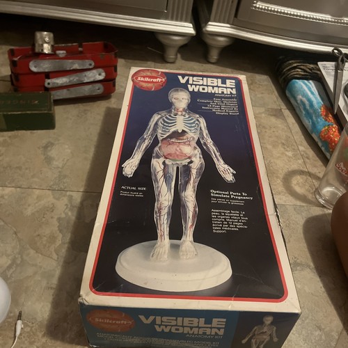 Skilcraft Visible Woman Anatomy Kit Factory Sealed Vintage