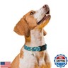 Gelwoo Personalized Dog Collars,Adjustable Puppy Collars with Safety Buckle for Small Medium Large Dogs,Cute and Unique Pink Cherry Pattern Pet Collar for Boy Girl Dogs. (Green Dolphin, Medium)