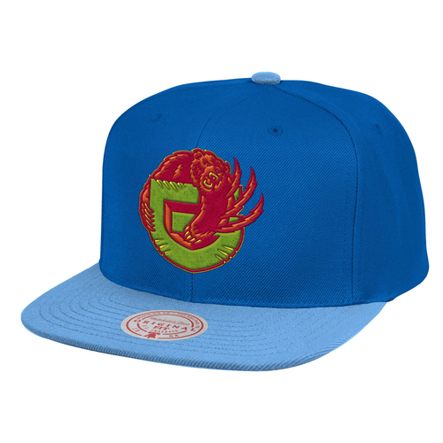 Mitchell & Ness Blue NBA Vancouver Grizzlies Weatherman HWC Snapback - OSFA