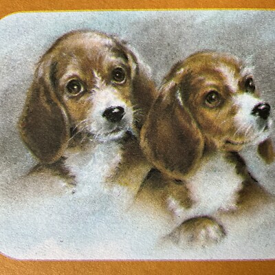 VTG Greeting Card Beagle Puppies New Birthday Metropolitan Cards Env