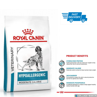 Dog allergic to royal canin cheap