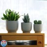 4 + 5 + 6 Inch Ceramic Pots for Indoor Plants, Succulents Plant Pots, Orchid Flower Pot with Drainage Hole, Modern Clay Stoneware Planters, Set of 3 (Reactive Glaze Grey Blue, 4 + 5 + 6 Inch