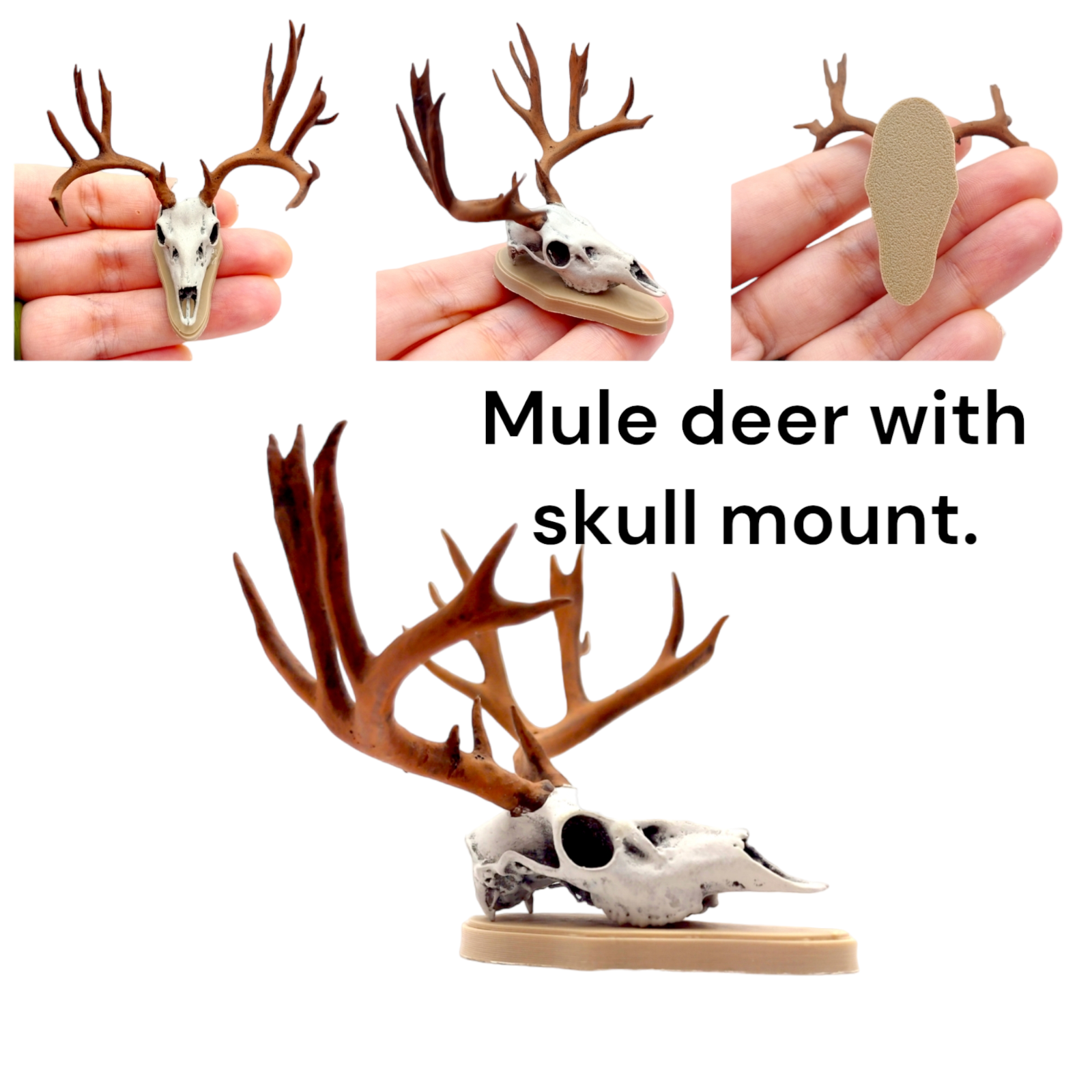 Mule deer skull 1:12 Scale Artisan Diorama Dollhouse Miniature Models 3d printed