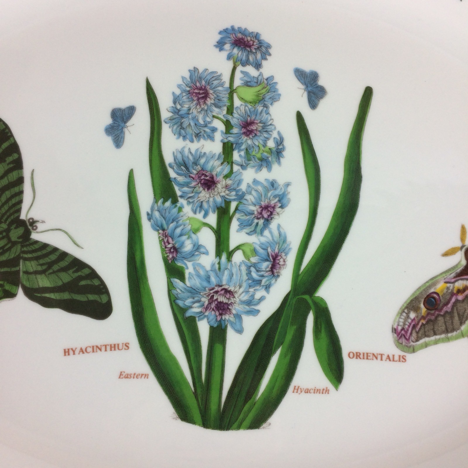 Portmeirion Botanic Garden Oval Platter Plate Hyacinthus Butterfly 13