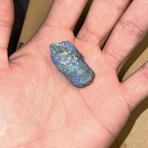 Artikelfoto(s) von einem verifizierten Käufer