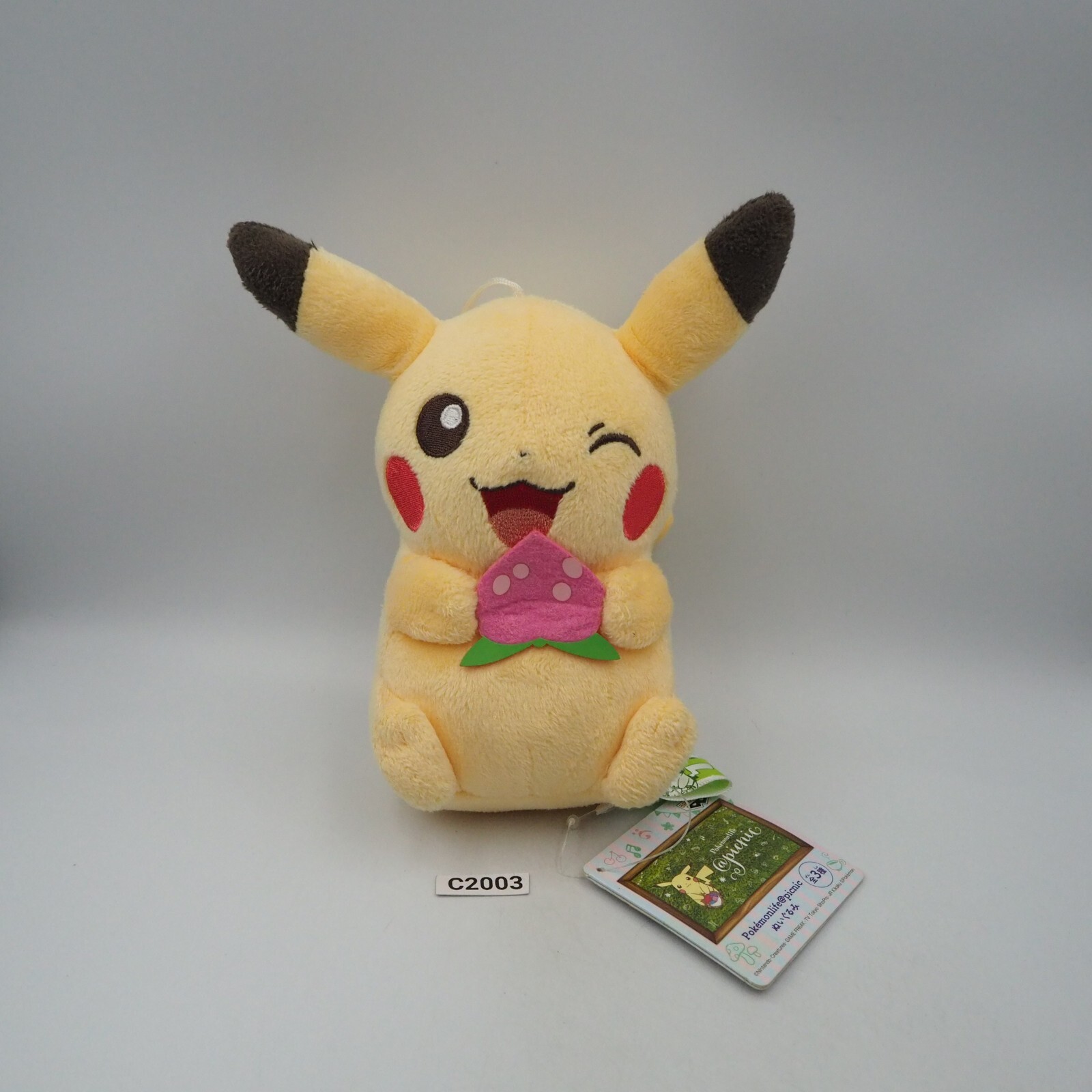 Pikachu C2003 Pokemon Life Picnic Banpresto 2016 Plush 6