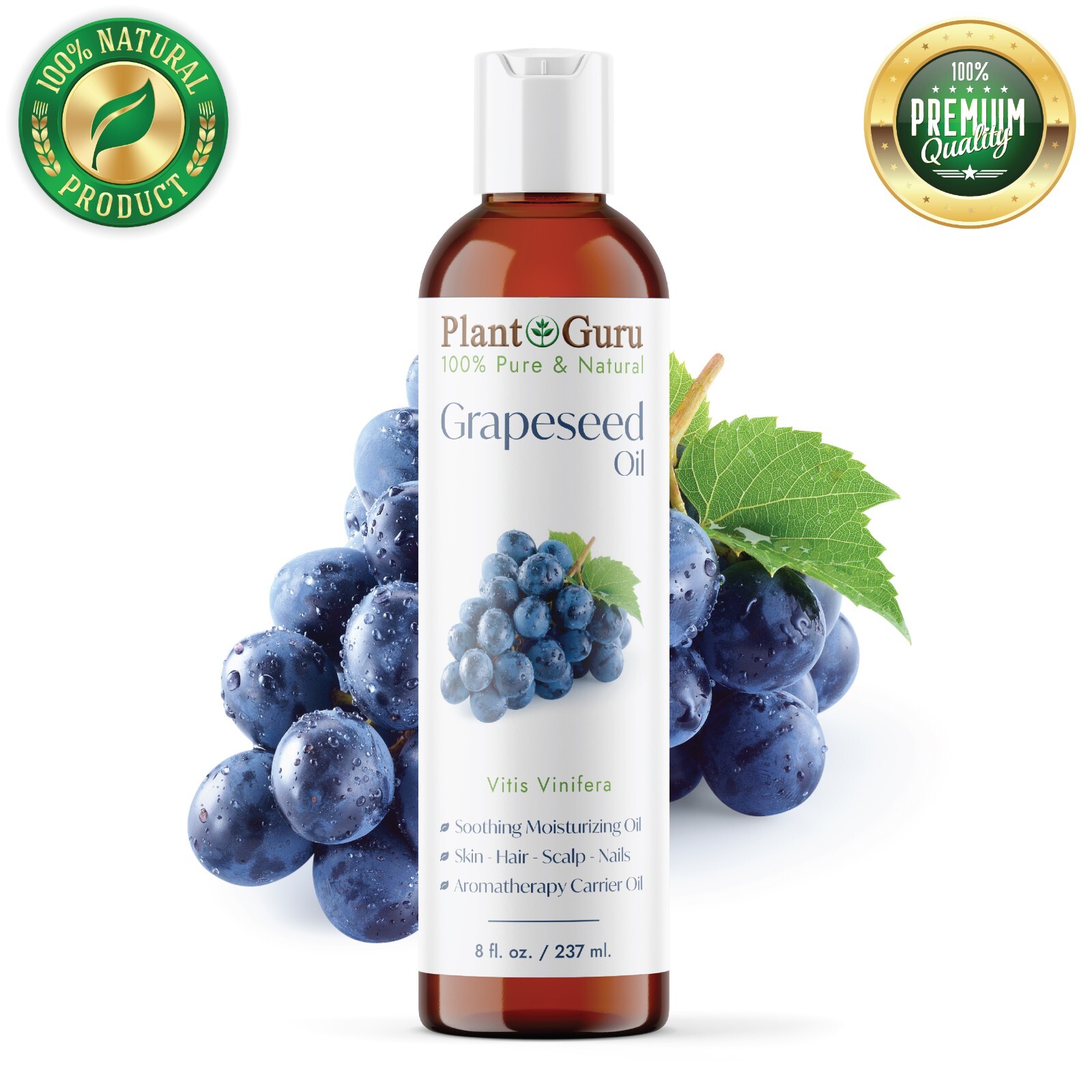 grape SEED １～８ $_57.JPG?set_id=880000500F