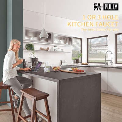 Fapully Kitchen Faucet with Pull Down Sprayer,Commercial Kitchen Sink Faucet ...