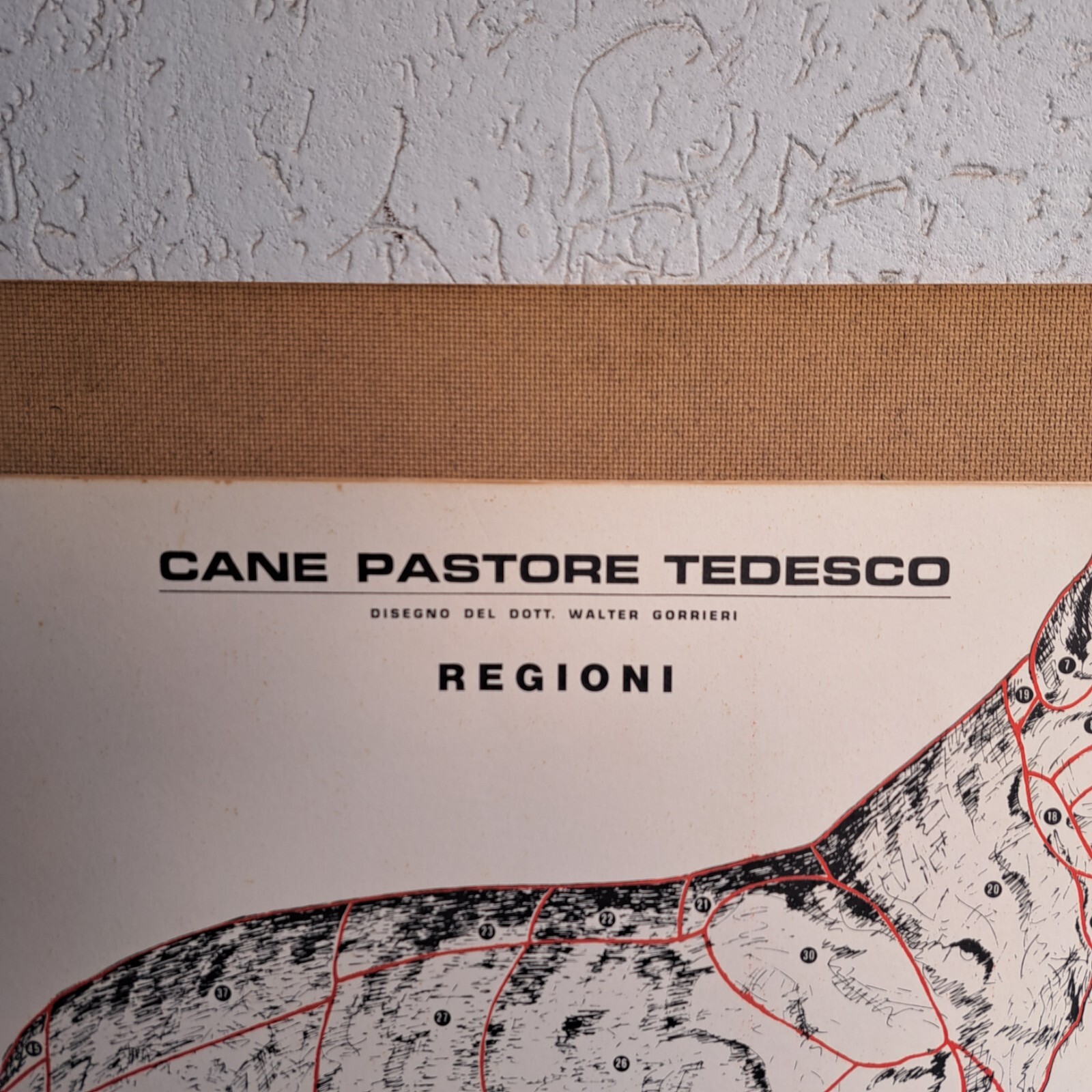 Ritratto di un pastore tedesco in smoking, Stampa artistica da parete di un pastore tedesco in smoking, Elegante poster di un cane, Dipinto umoristico - Italia