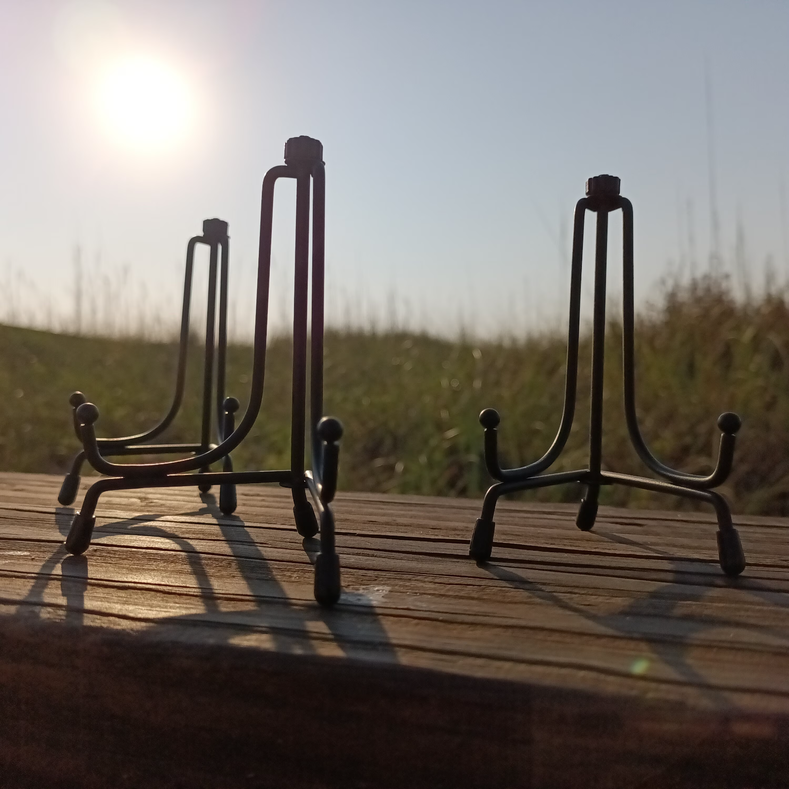 Megalodon Shark Tooth Display Stand - Metal, Adjustable, for 3.75" + shark teeth