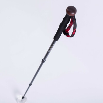 hiking stick monopod