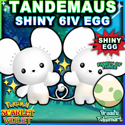 TANDEMAUS   SHINY 6IV EGG   Pokemon SCARLET and VIOLET