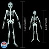 2 Pack Halloween Luminous Skeleton Decorations 5ft / 3ft Full Body Glow-in-The-Dark Skeleton Rotatable Skeleton Hanging Decors for Halloween Party Haunted House Outdoor Decor