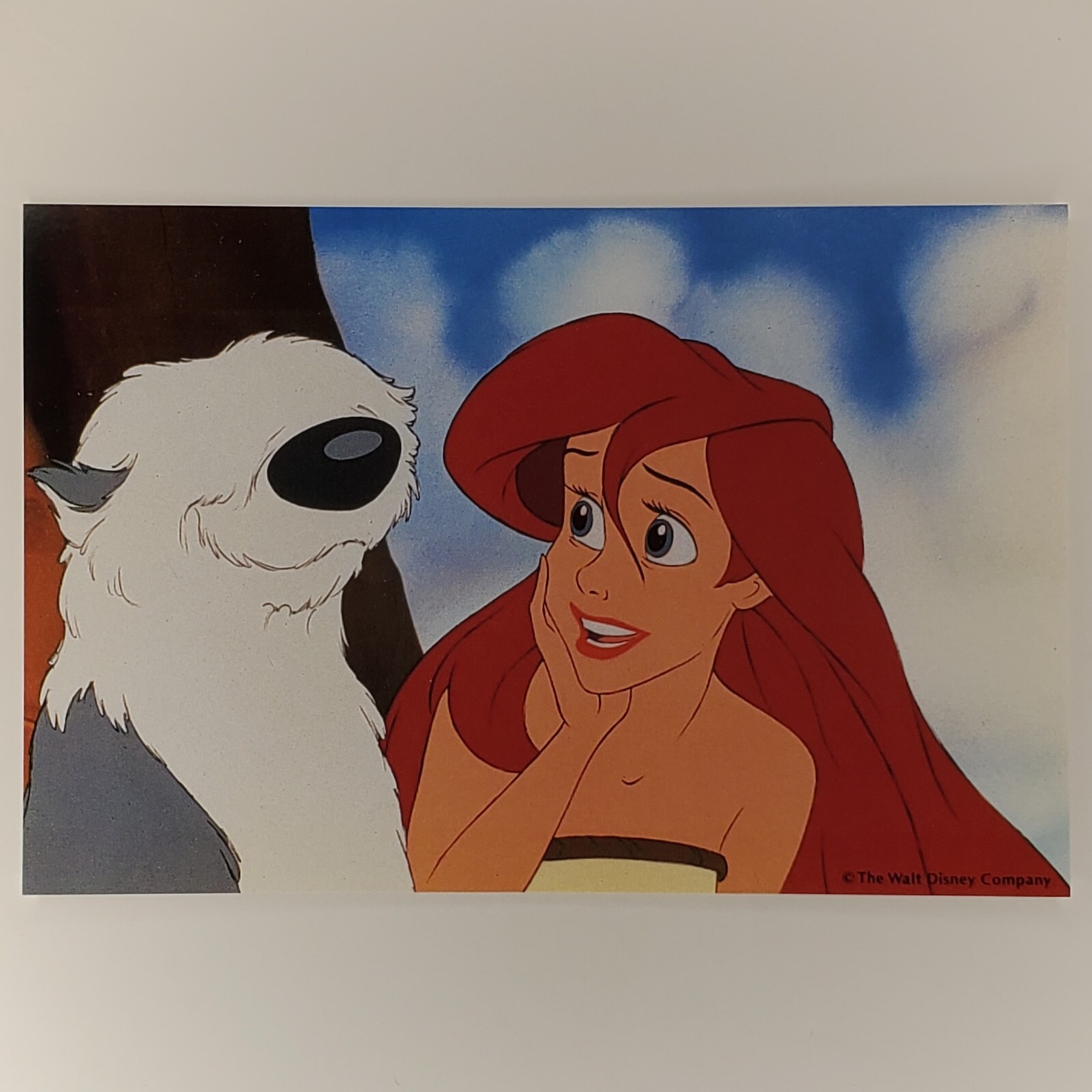 Citizen Disney Little Mermaid 定価96800