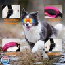 Mitubati Dog Sunglasses Pet Goggles for Medium Large UV Protection Wind Protection Dust Protection Adjustable Strap Dog Glasses Suitable for Snow Beach Motorcycle