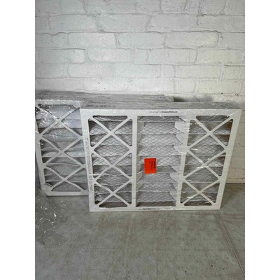 Air Filter, 2 Pack (cf100a1025-3pkam)