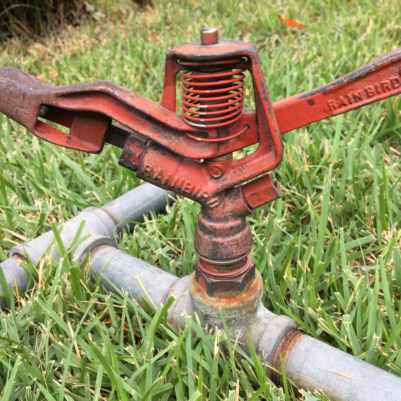 Spick &amp; Span - moriiyu Amazon.com: Rain Bird 1/2 in. Flex Swing Pipe (100 ft