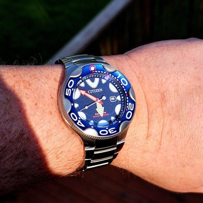 Citizen Promaster Dive Eco-Drive Men's Silver Calendar Watch