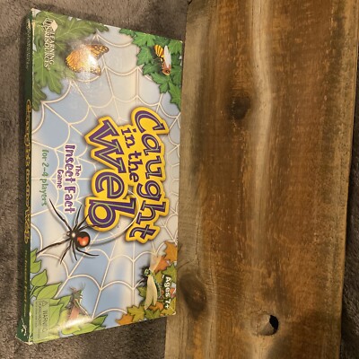 Caught In The Web Board game, Hard To Find. Insect Fact Game Learning Resources