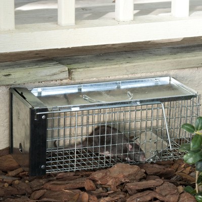 Havahart X-Small One Door Trap