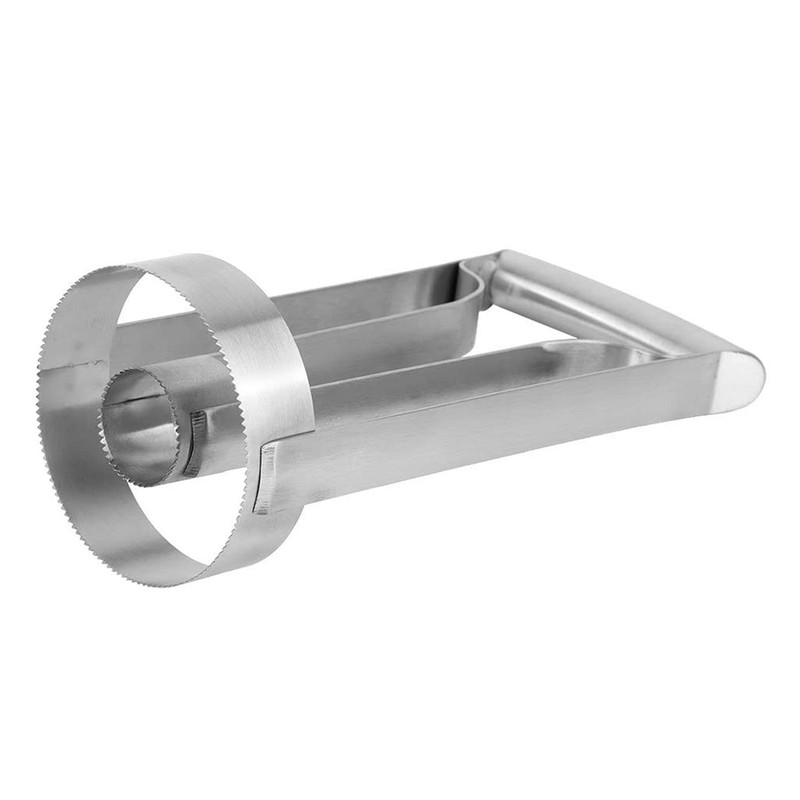 Pineapple Corer Slicer Cutter Eye Peeler Fruit Stainless Steel Tool