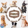 Jumpress Soft Leather Dog Collar for Small Medium Large Dogs, Heavy Duty Dog Collar Leather with Quick Release Metal Buckle, Durable and Adjustable for Large Dogs Walking (Brown, L)