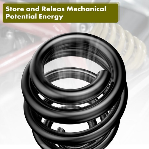 2x Coil Springs for Ford Expedition 1997-2002 Lincoln Navigator 98-02 4WD Rear