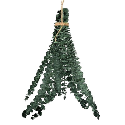 10 Pcs Eucalyptus for Shower Hanging Dried Eucalyptus Stems 17'' Real Eucalyptus