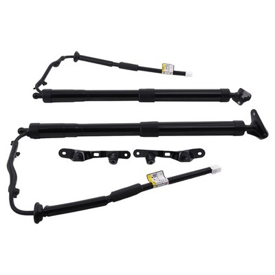 2x Tailgate Power Trunk Hatch Lift Support Shock for Toyota RAV4 LE Limited