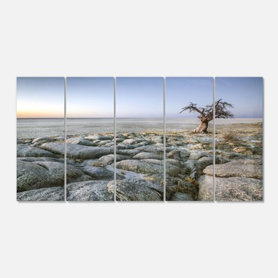 Designart 'Baobab Tree on Rocky Terrain' Landscape Metal  Oversized