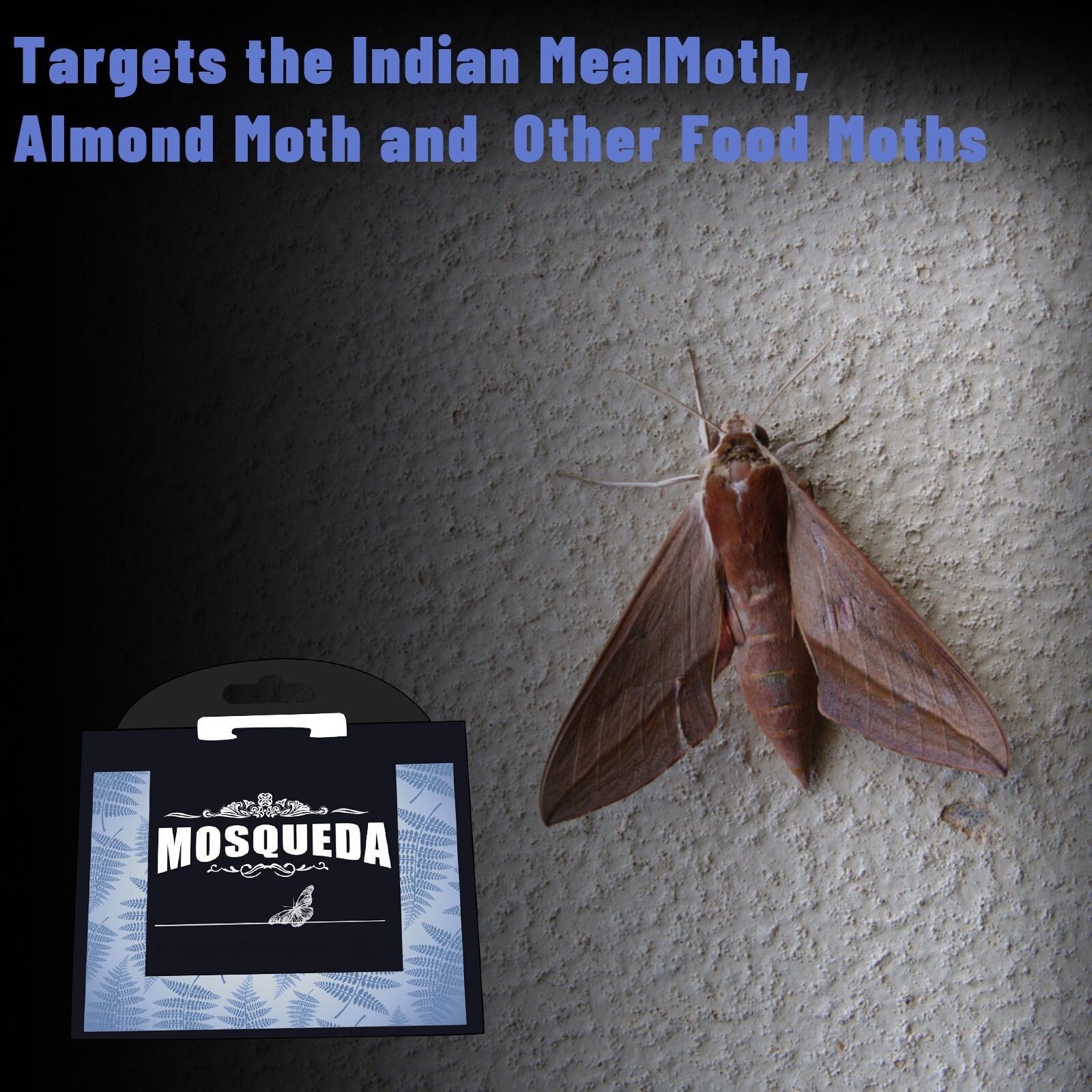 6 packs Pantry Moth Traps - Professional Sticky Glue Catchers with Pheromones