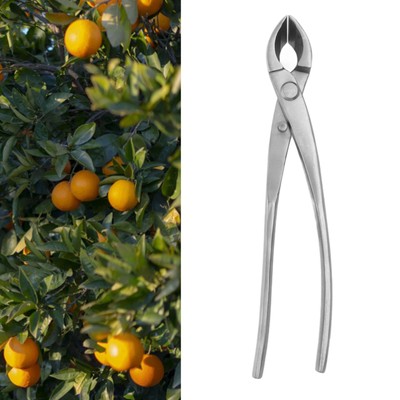 Bonsai Concave Branch Cutter Alloy Bevel Round Knob Cutter Practical & Light ...