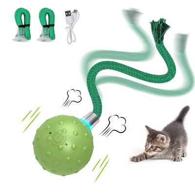 Interactive Cat Toys for Bored Indoor Adult Cats, Automatic Fast Move On Carp...