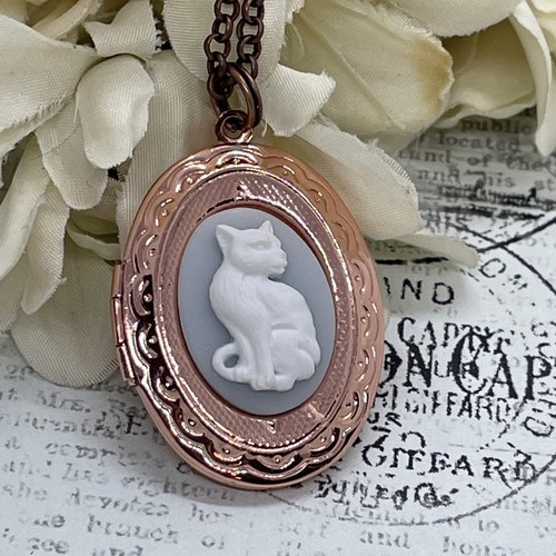 Rose SALE Steampunk Cat Kitten NEW Locket Necklace Pendant Wedding Cameo Blue