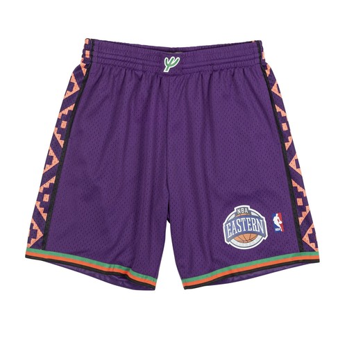 Мужские шорты Mitchell & Ness NBA Swingman All Star 95