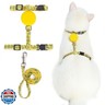 PUPTECK Adjustable Cat Harness and Leash Set Escape Proof Kitten Strap Collar for Walking Travel, Floral Pattern