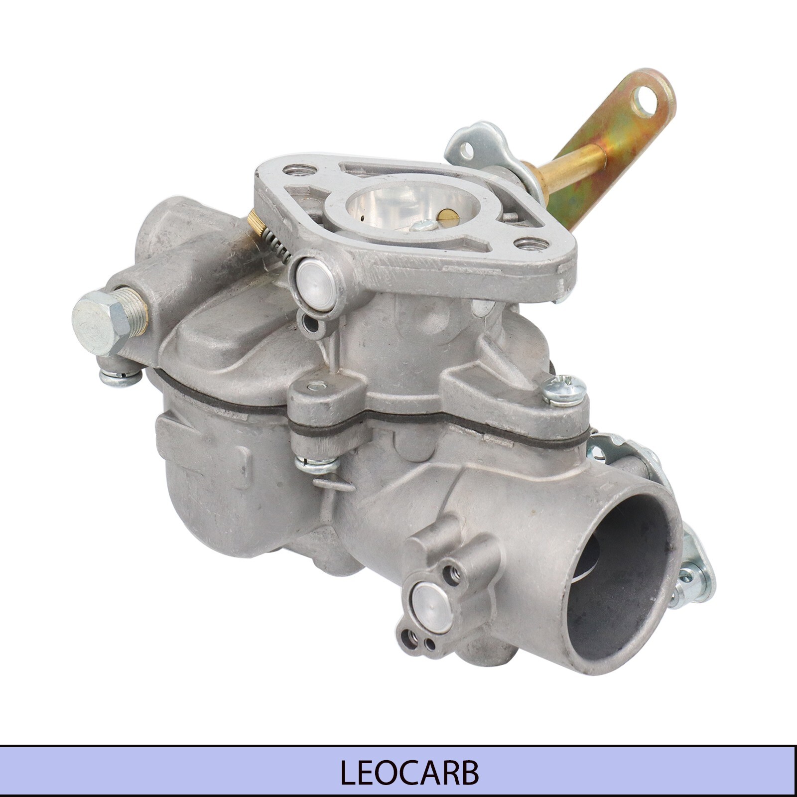 サンダーソニア $_57.JPG