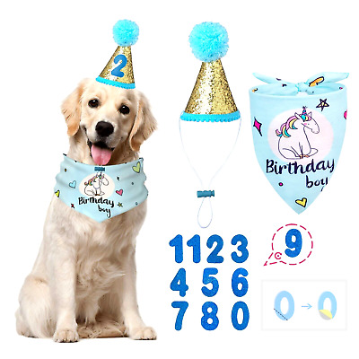 Dog Birthday Bandana with Hat - Party Supplies Birthday Set for Puppy/Cat - NEW