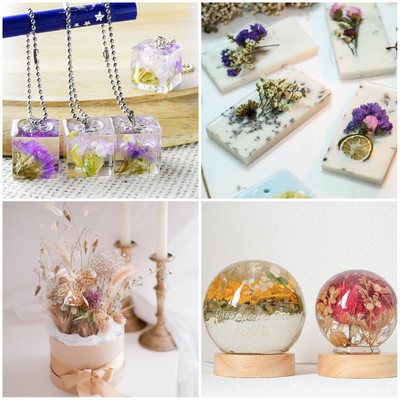 Natural Dried Flowers Multiple Real Dried Pressed Flowers Plant Purple Series