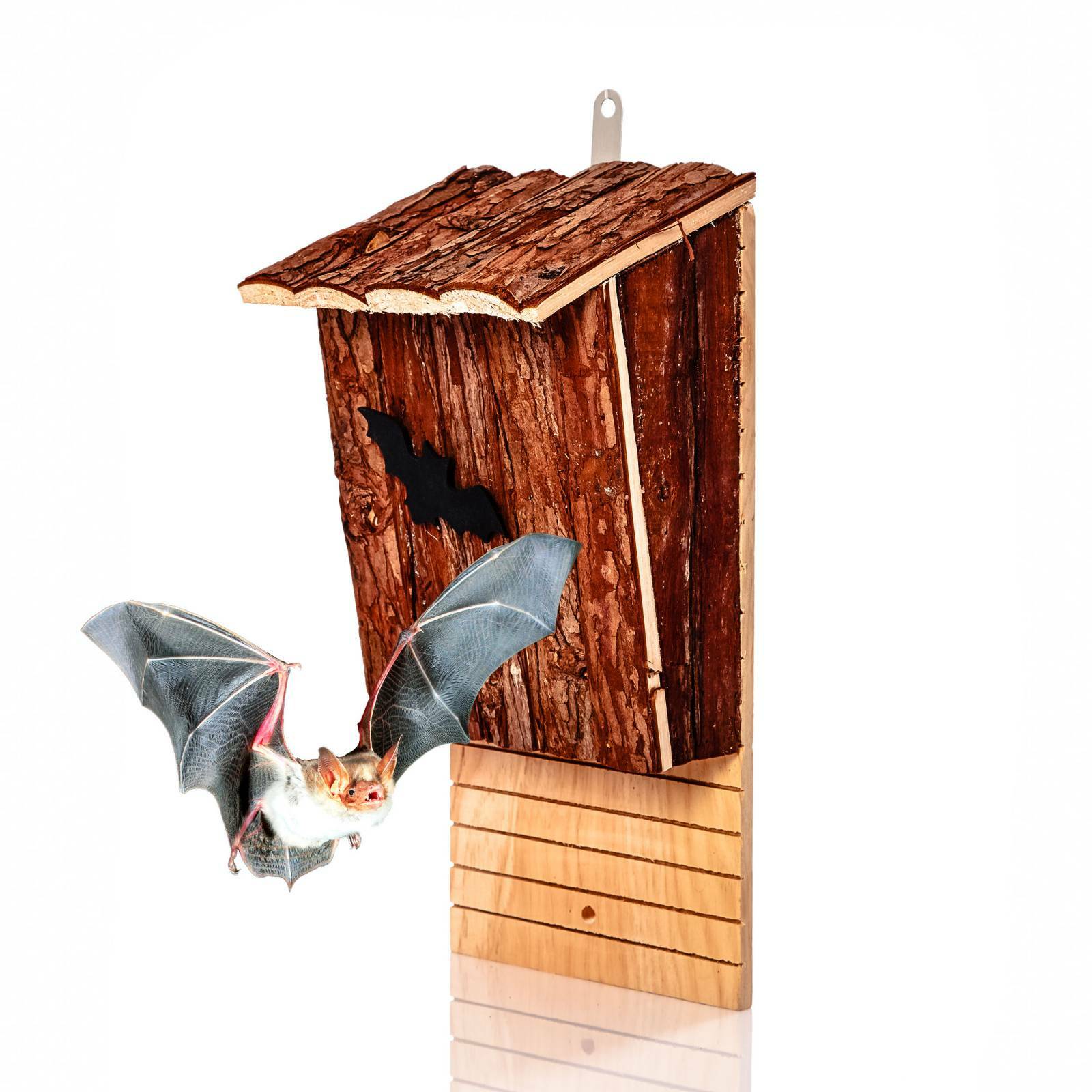 Fledermauskasten Fledermaushöhle Natur Fledermaus Hotel Schlafplatz