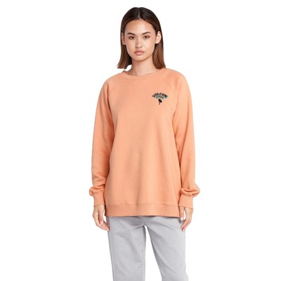 

Женский свитшот Volcom Stone Magic Boyfriend Crew, Clay